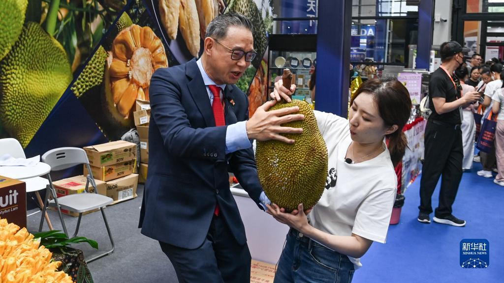 最新打鱼送分